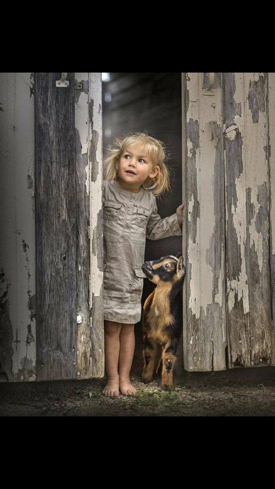 ccd9286ea384cd9408c7c8dee69a4ac0