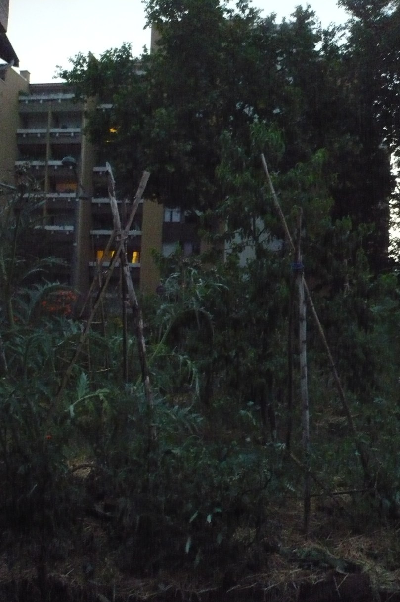 le-jardin-sous-la-pluie1