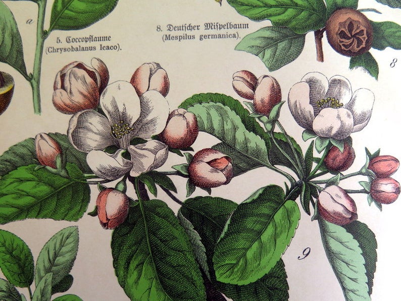 il_794xN.1939344558_n3h7