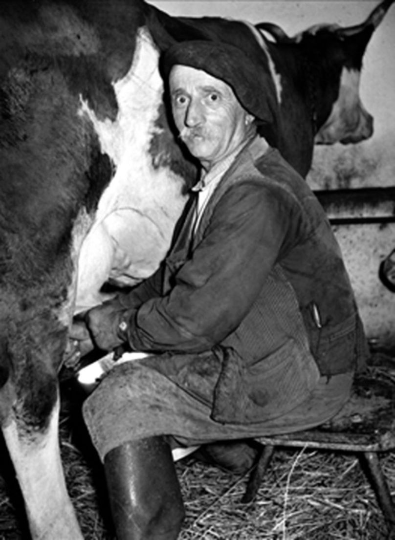 170042772a6c2e132ba310b19f65b0e1