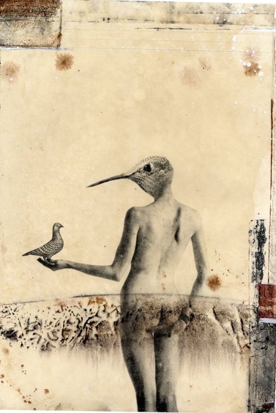 cfc0f1d5a4a77f86631b13e7e91a2c3a