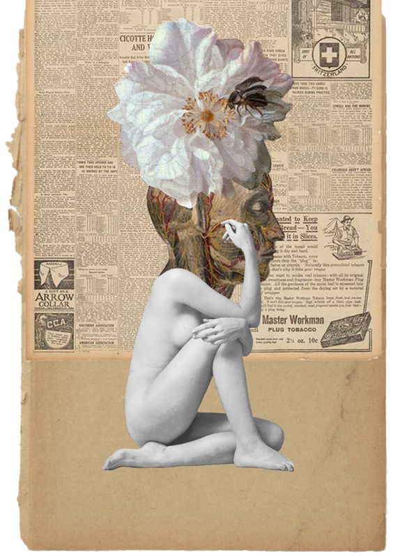 4ce5839ac5ed7fe7baa3edbcb9f444cc