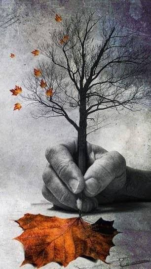 a925cc03e9902cbce0d0dc39df88d117