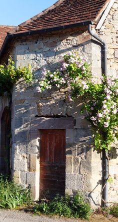 c47484293d5ca330059274f5981cad6a