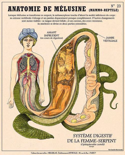 3096b1bc3856ddf34e5bcffa69c8ad7c