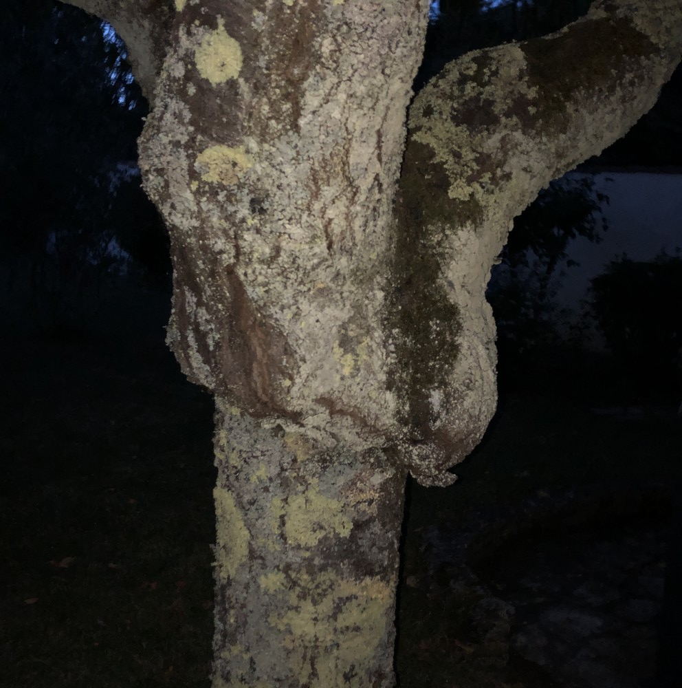 61282244240__91EE02BC-1B9B-4FCF-A84D-F04ACC0201D3