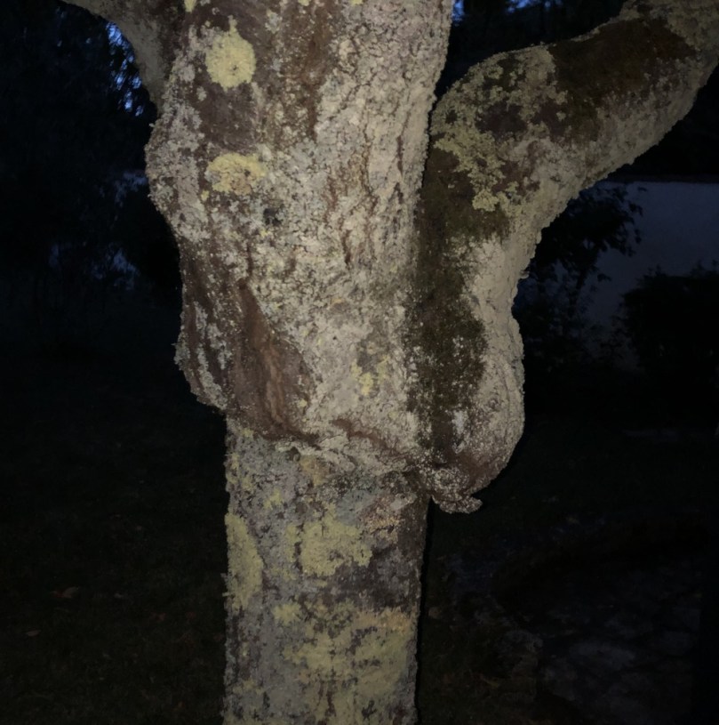 61282244240__91EE02BC-1B9B-4FCF-A84D-F04ACC0201D3