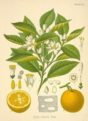 089643323deccb4454d25b3ec5e2bc64