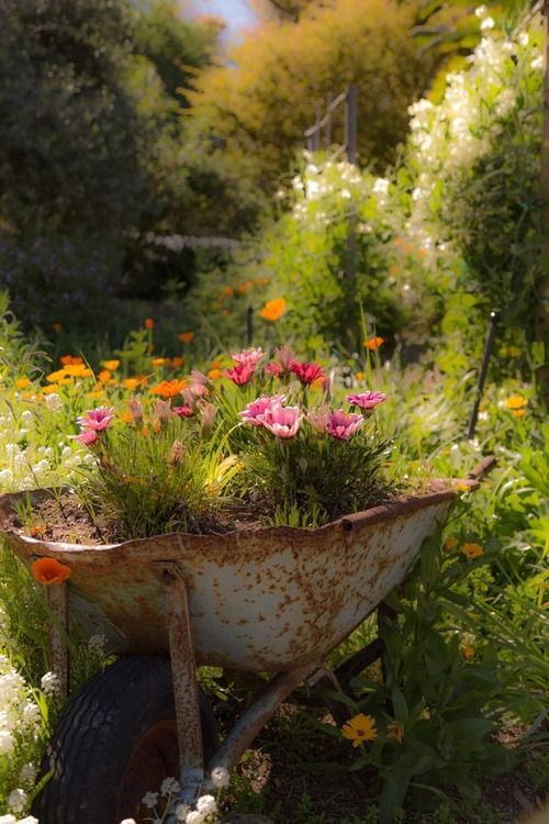 dc1d825cf96e769e71b9e97bbd6c6bc8